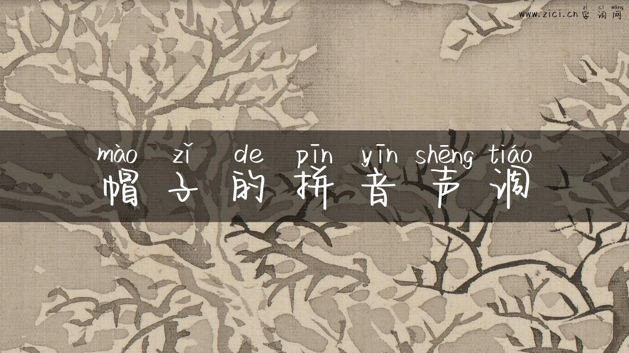 帽子的拼音声调
