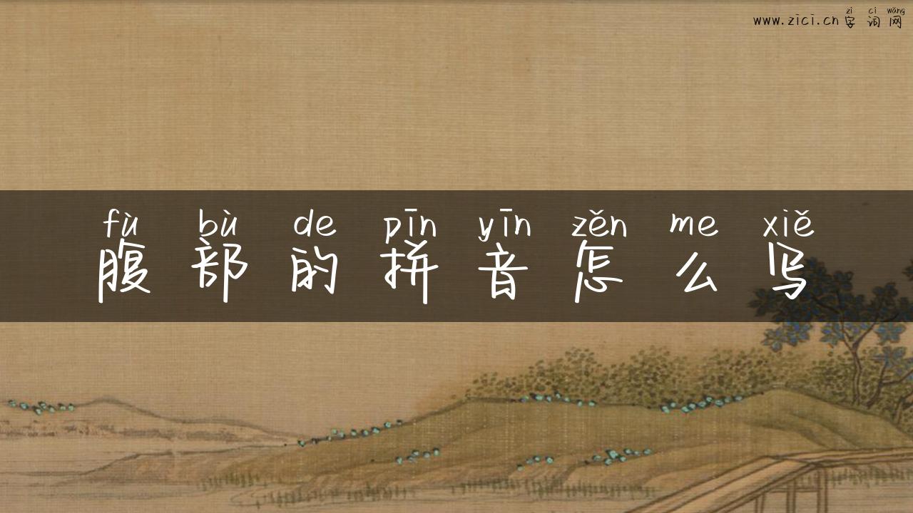 腹部的拼音怎么写