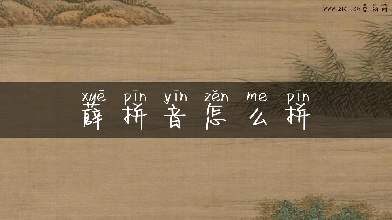 薛拼音怎么拼