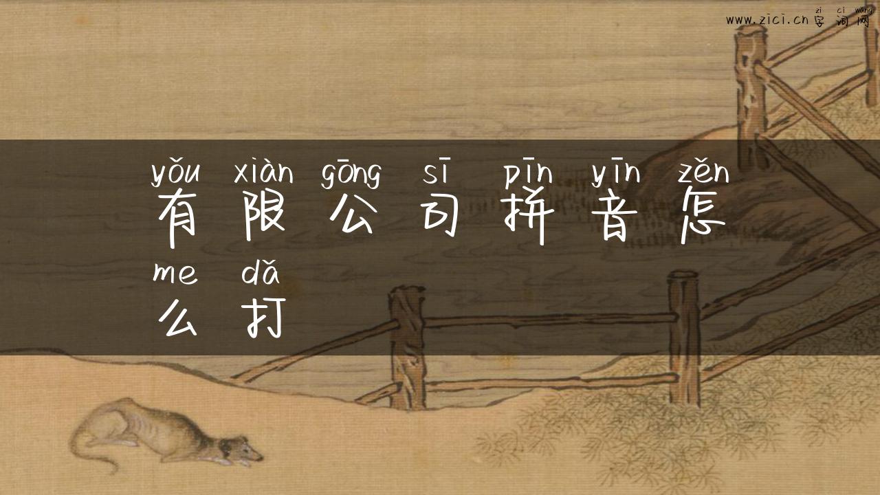 有限公司拼音怎么打