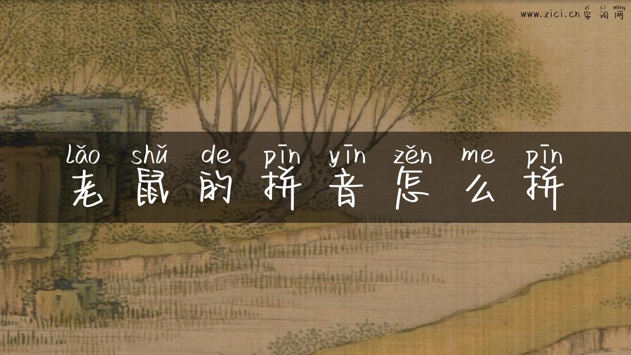 老鼠的拼音怎么拼