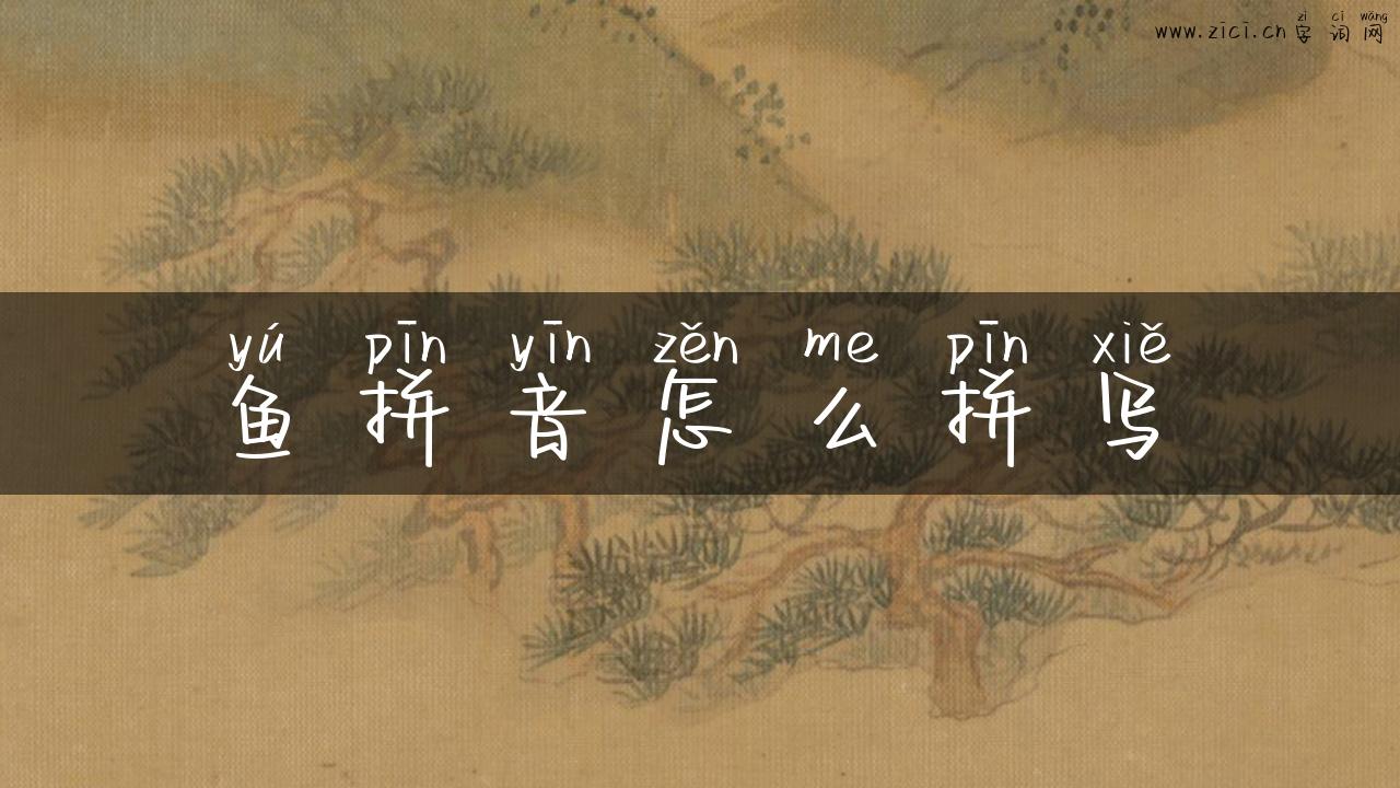鱼拼音怎么拼写