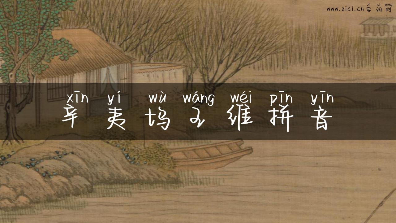辛夷坞王维拼音