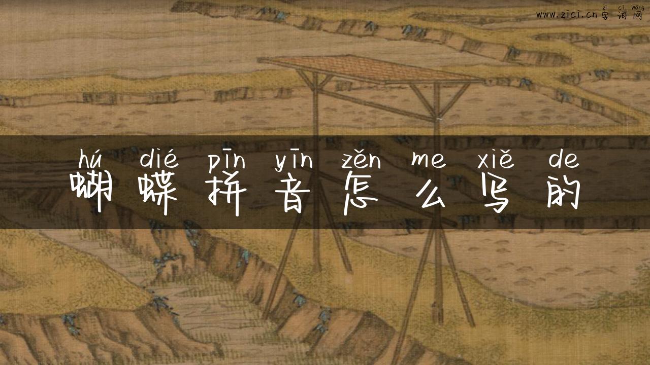 蝴蝶拼音怎么写的