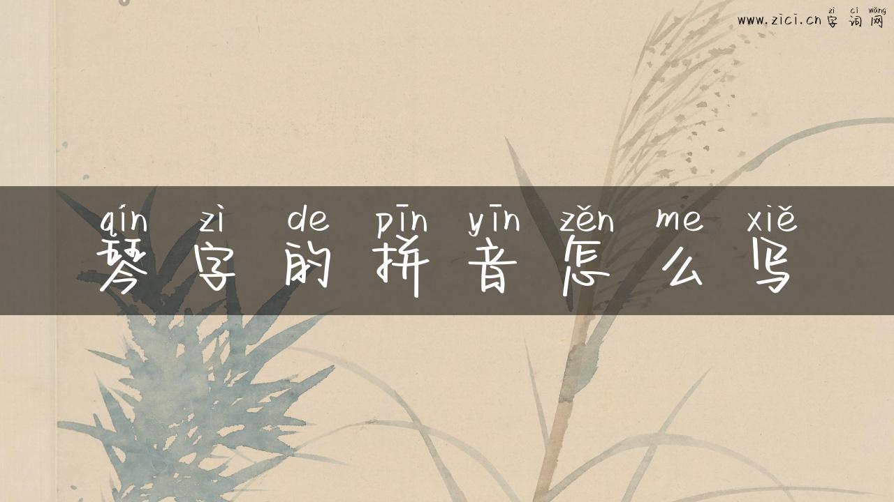 琴字的拼音怎么写
