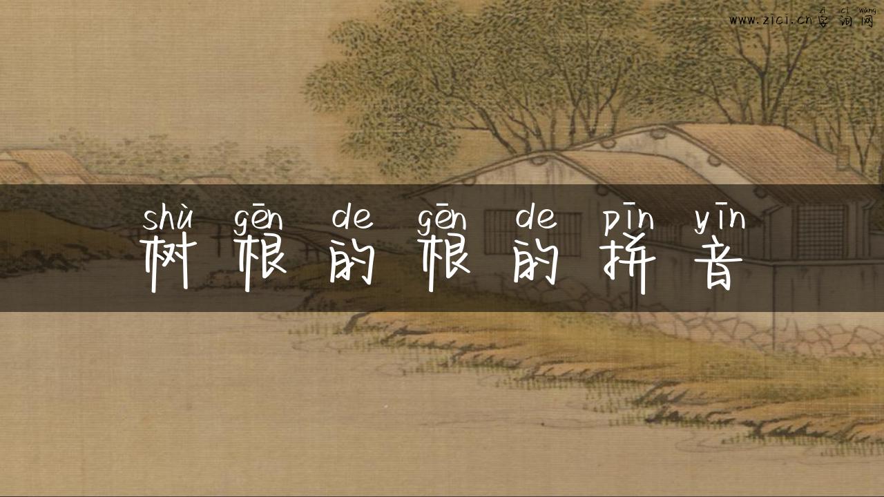 树根的根的拼音