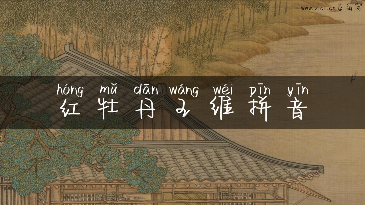 红牡丹王维拼音