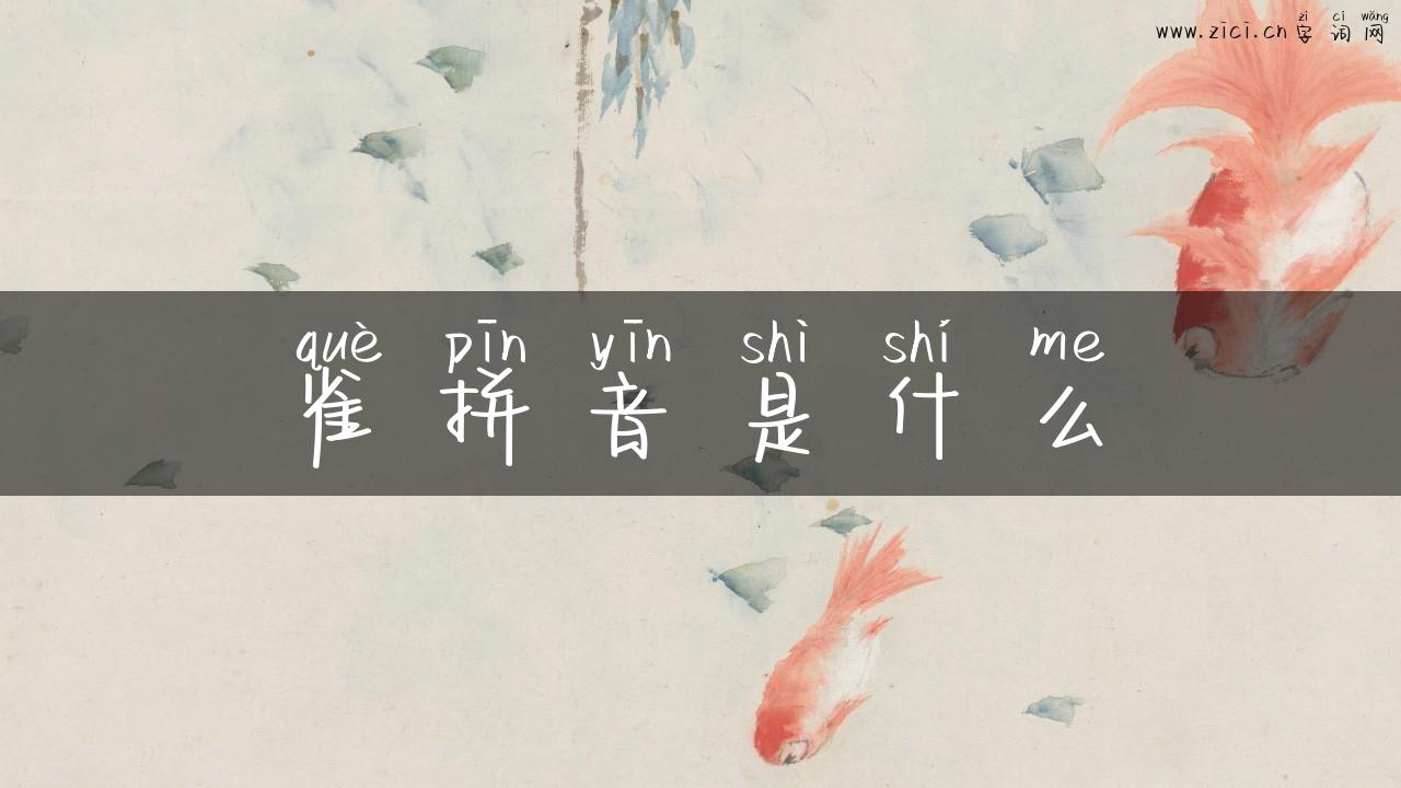 雀拼音是什么