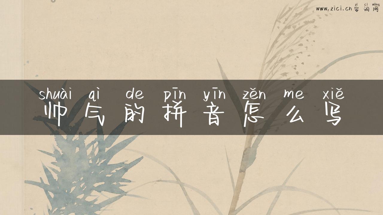 帅气的拼音怎么写