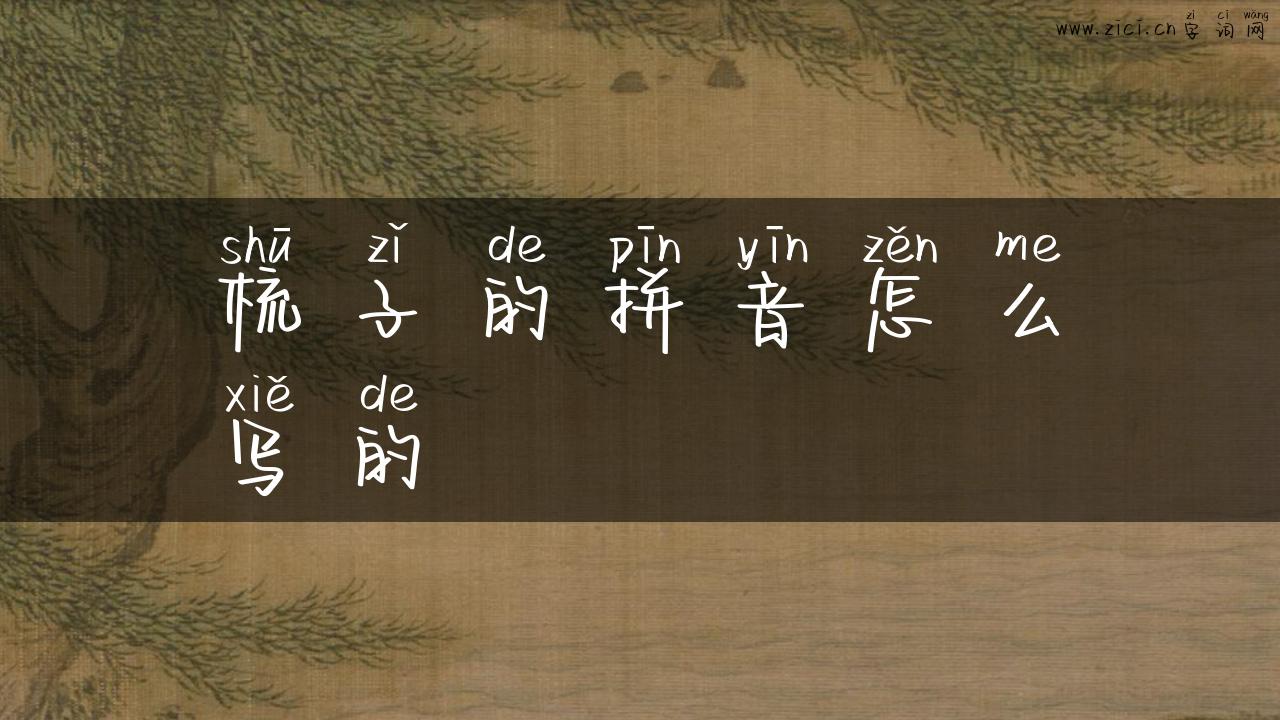 梳子的拼音怎么写的