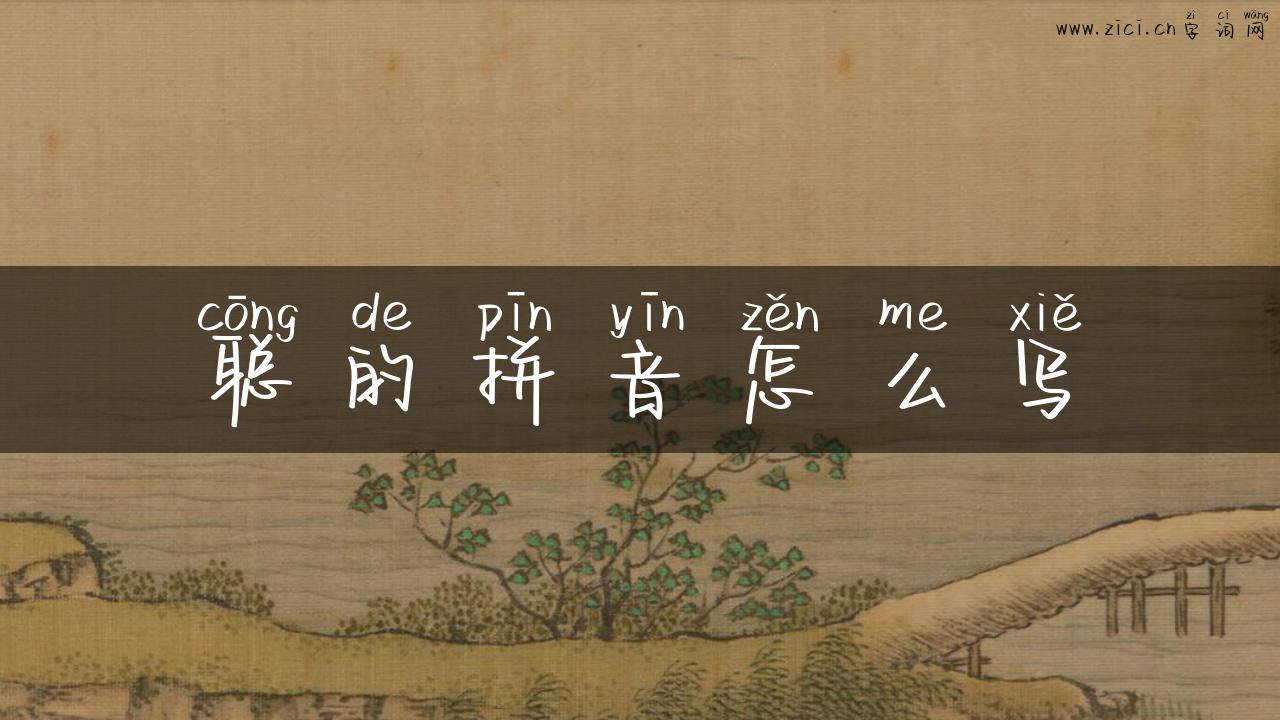 聪的拼音怎么写