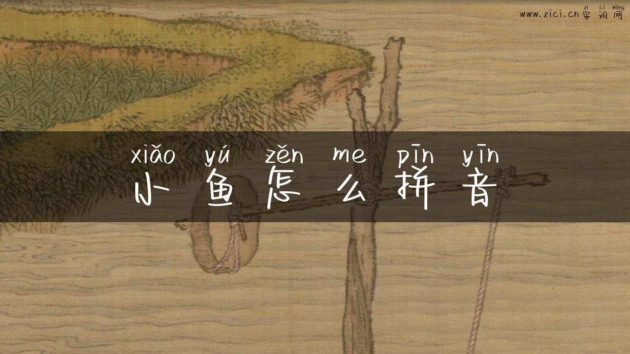 小鱼怎么拼音