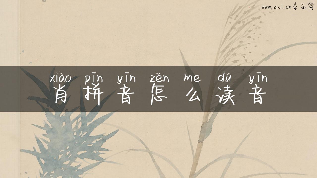 肖拼音怎么读音