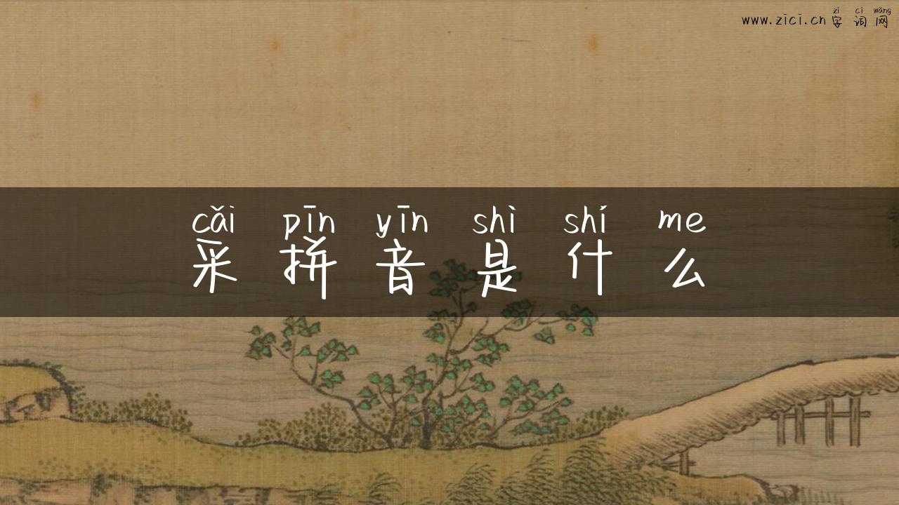 采拼音是什么