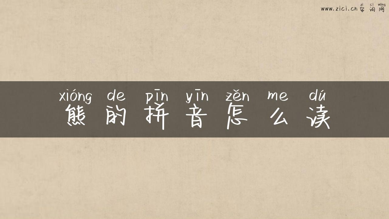 熊的拼音怎么读
