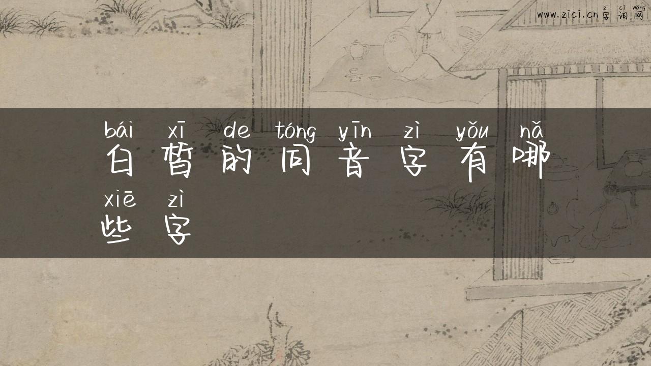 白皙的同音字有哪些字