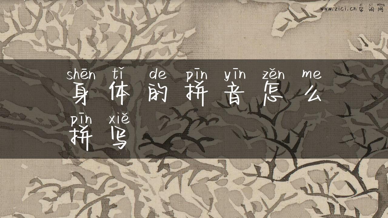 身体的拼音怎么拼写