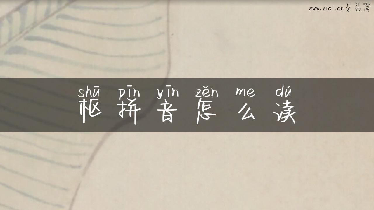 枢拼音怎么读