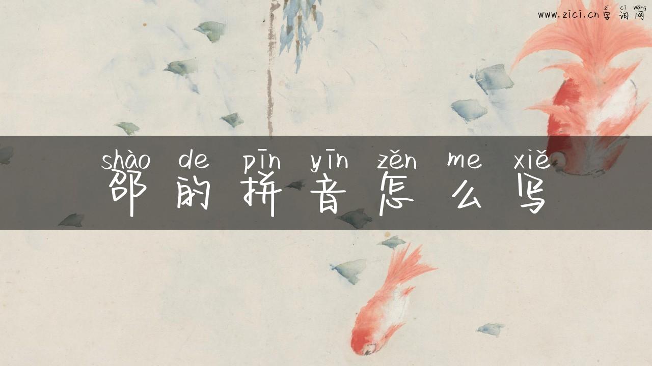 邵的拼音怎么写