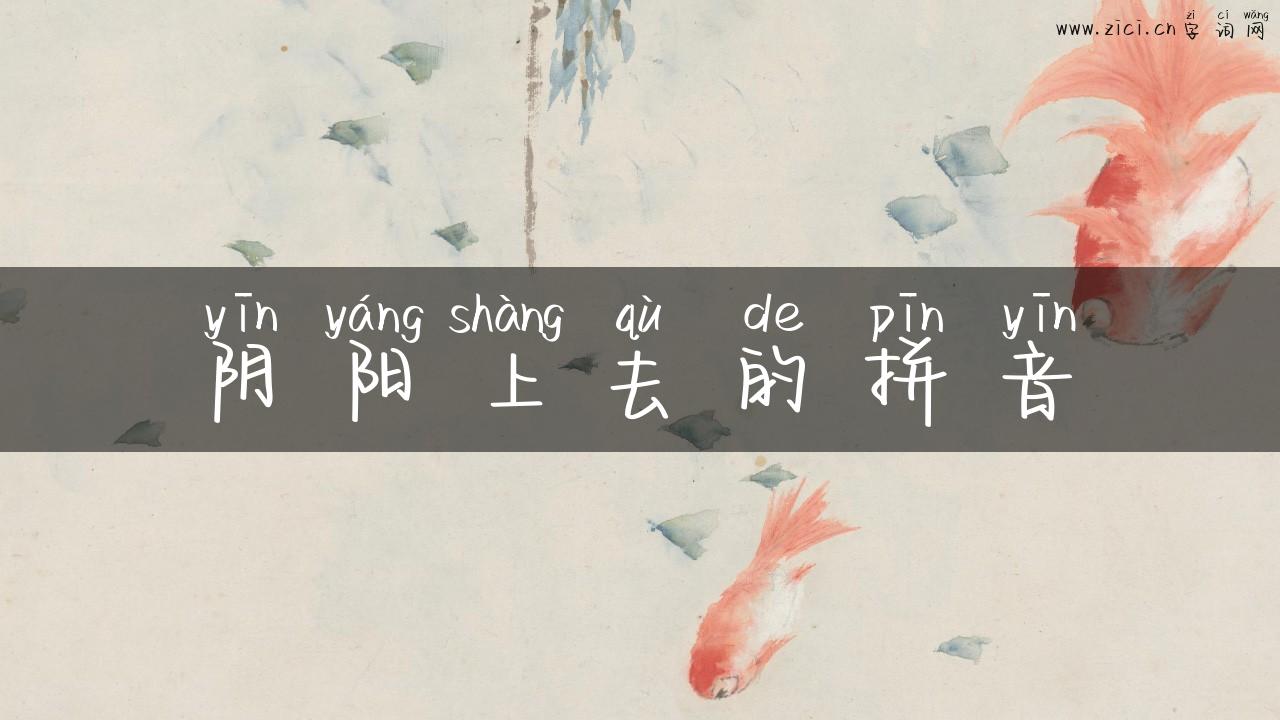 阴阳上去的拼音