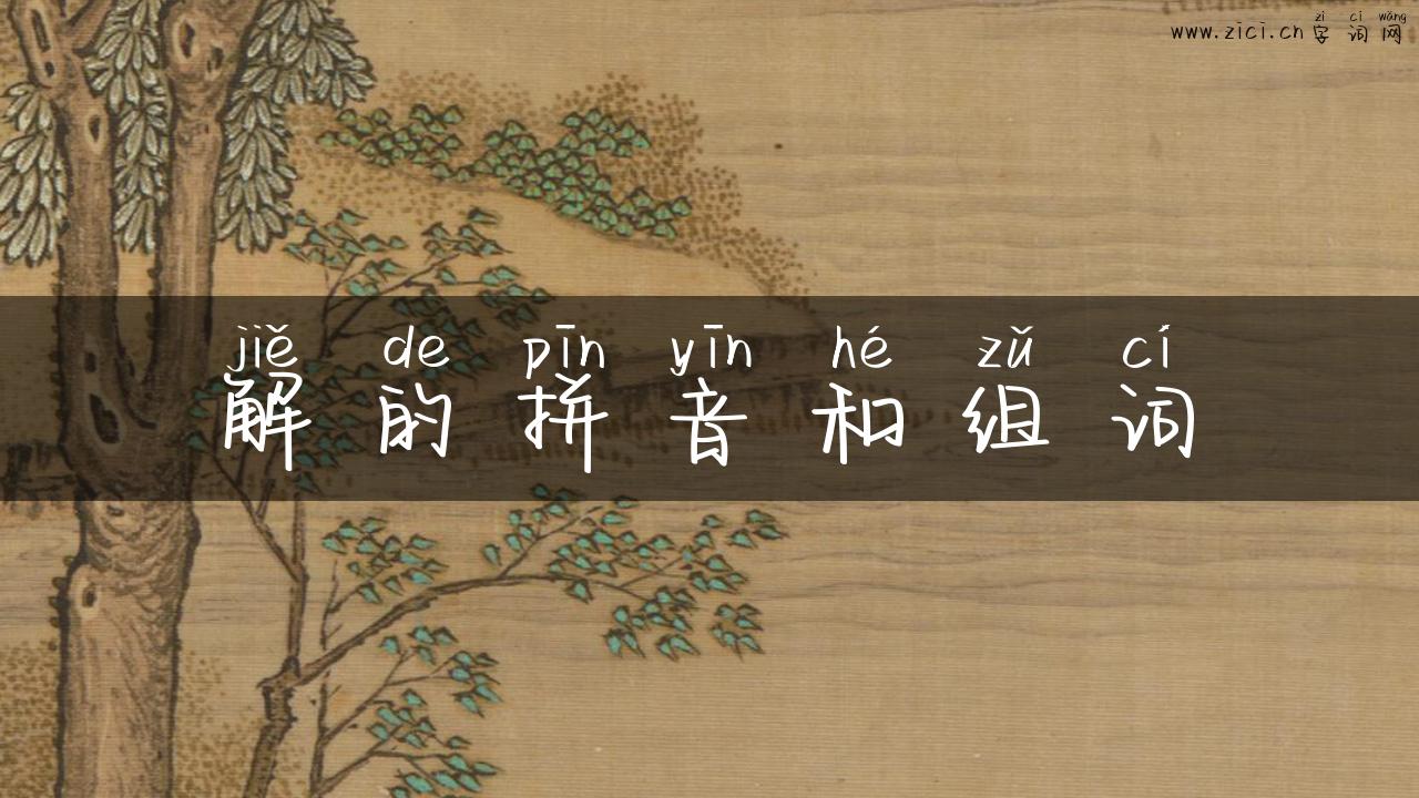 解的拼音和组词