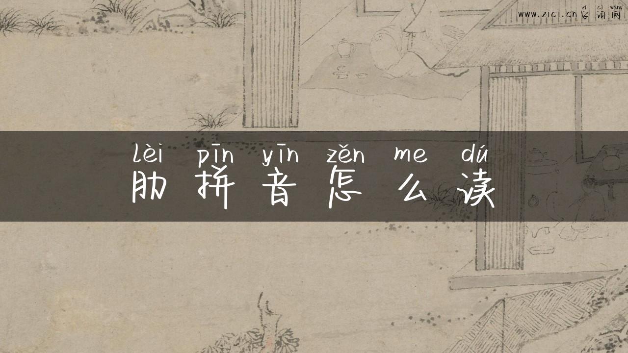 肋拼音怎么读