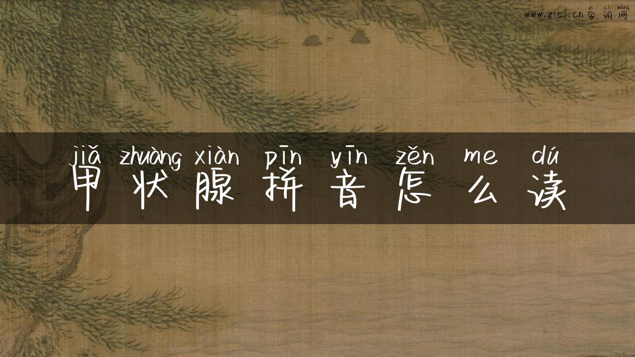 甲状腺拼音怎么读