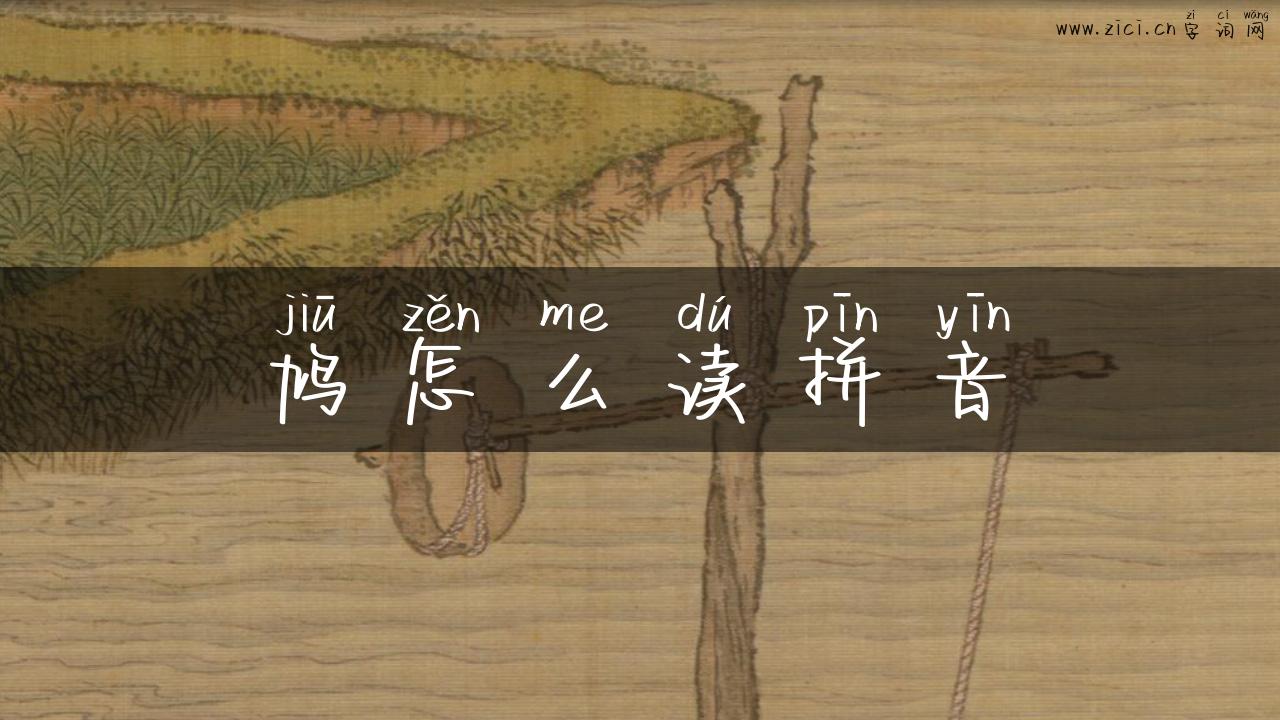 鸠怎么读拼音
