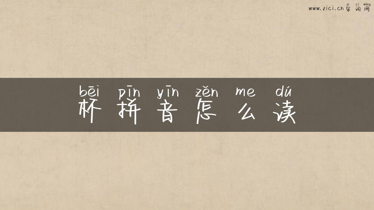 杯拼音怎么读
