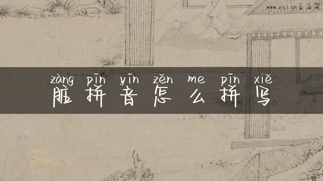 脏拼音怎么拼写