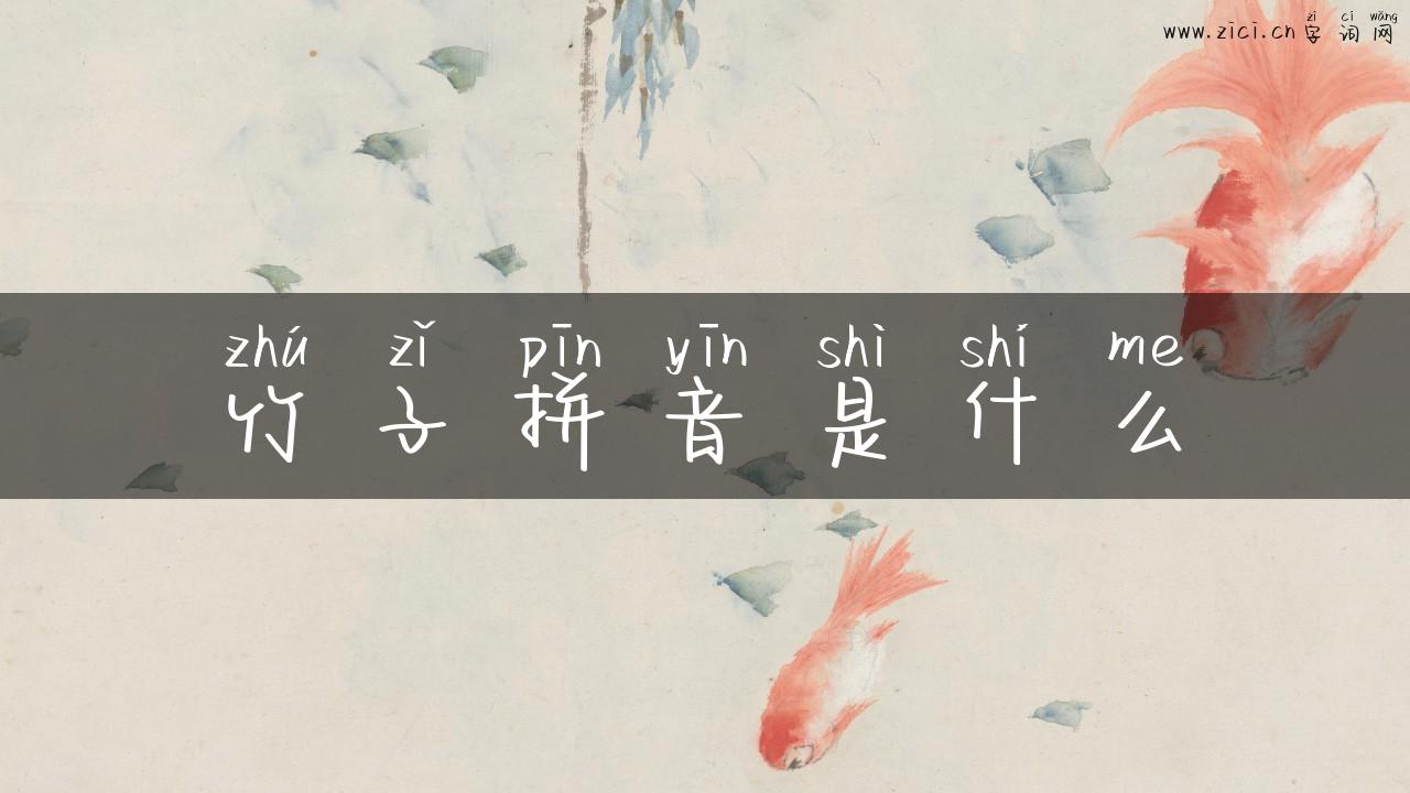 竹子拼音是什么