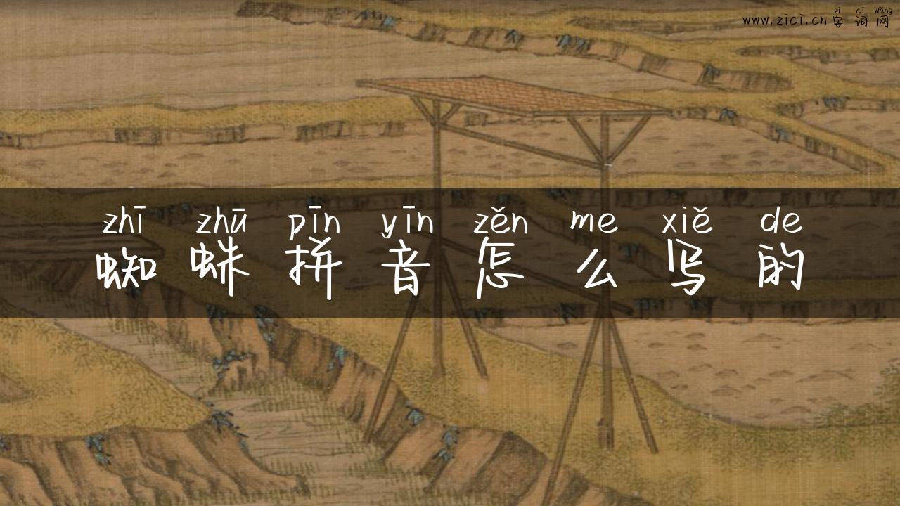 蜘蛛拼音怎么写的