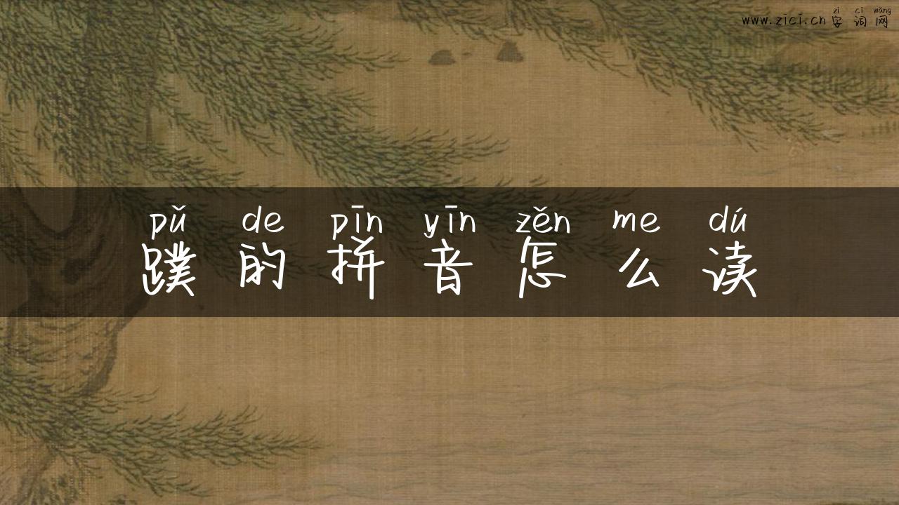 蹼的拼音怎么读