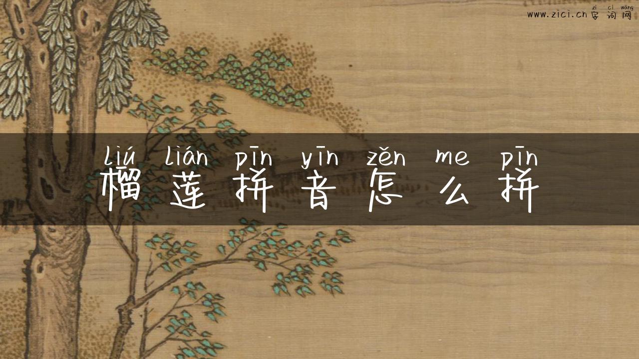 榴莲拼音怎么拼
