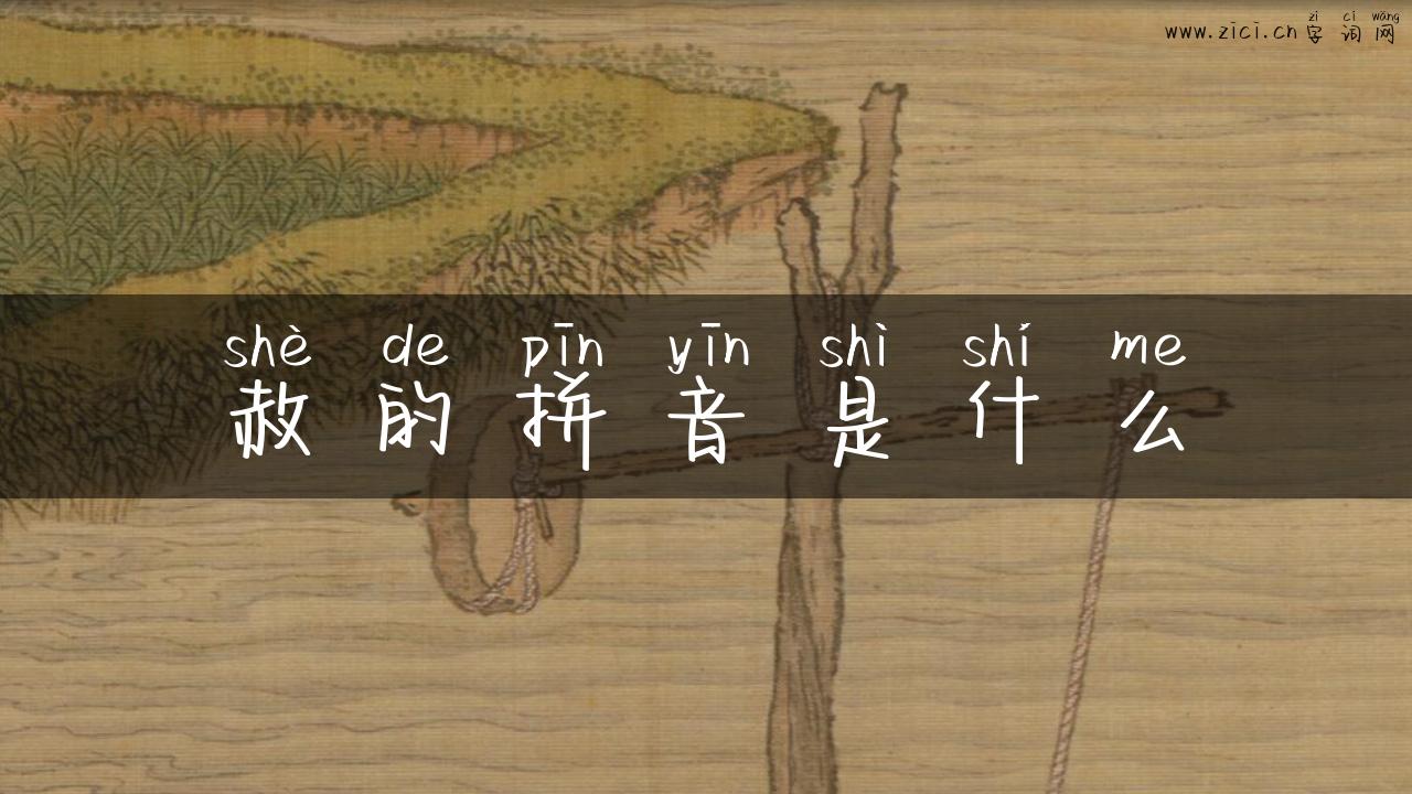 赦的拼音是什么