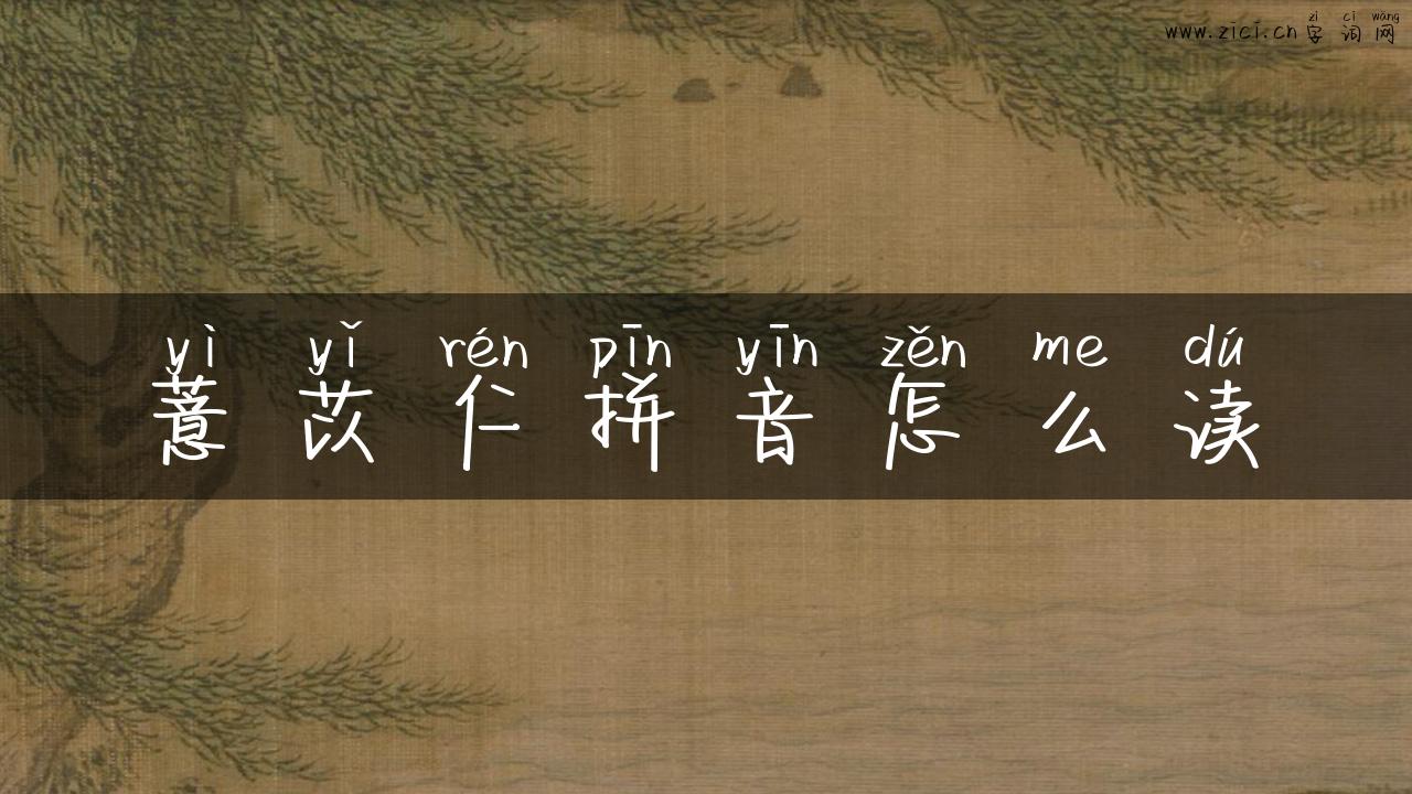薏苡仁拼音怎么读