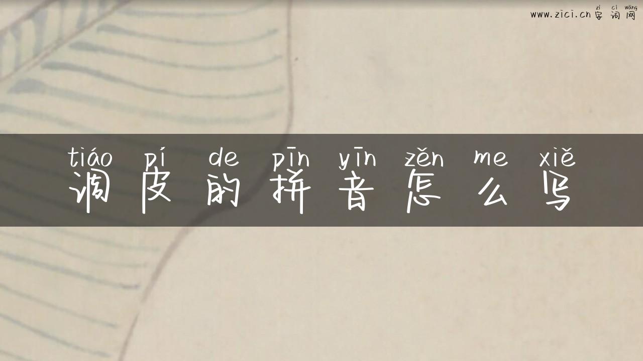 调皮的拼音怎么写