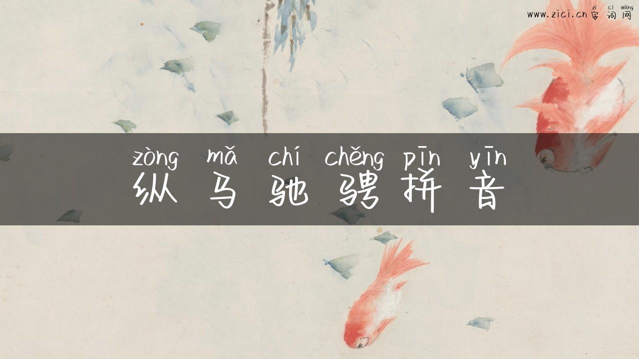 纵马驰骋拼音