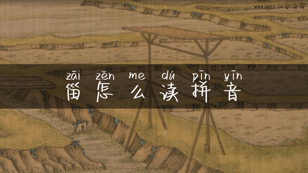 甾怎么读拼音