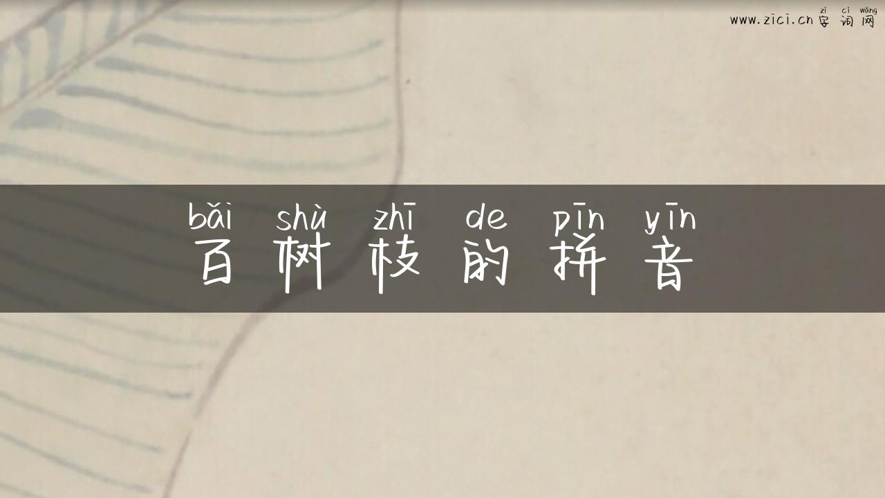 百树枝的拼音