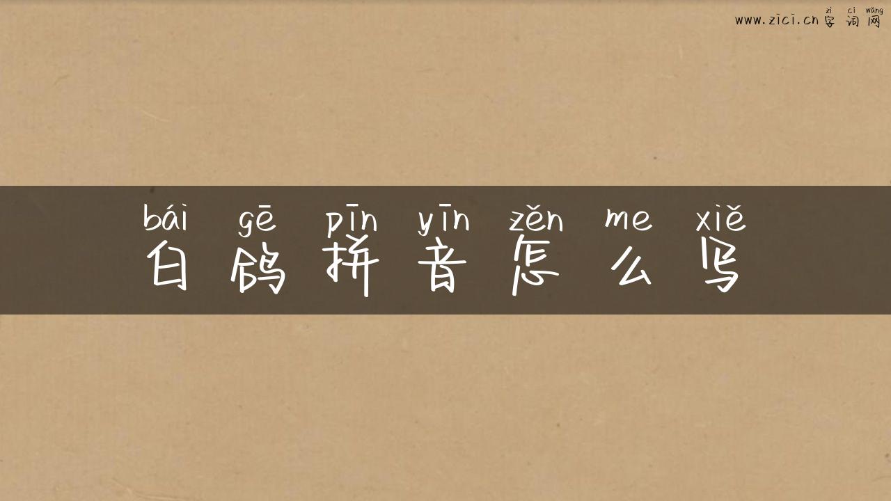 白鸽拼音怎么写