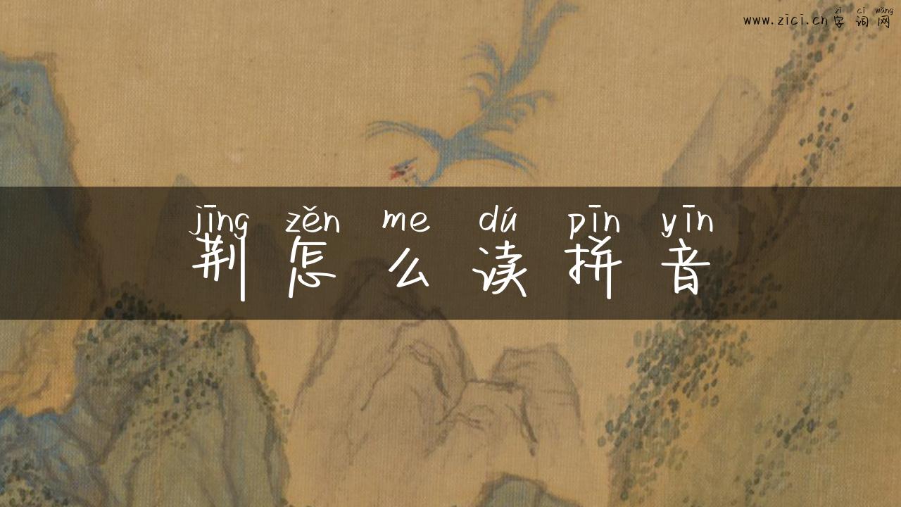 荆怎么读拼音