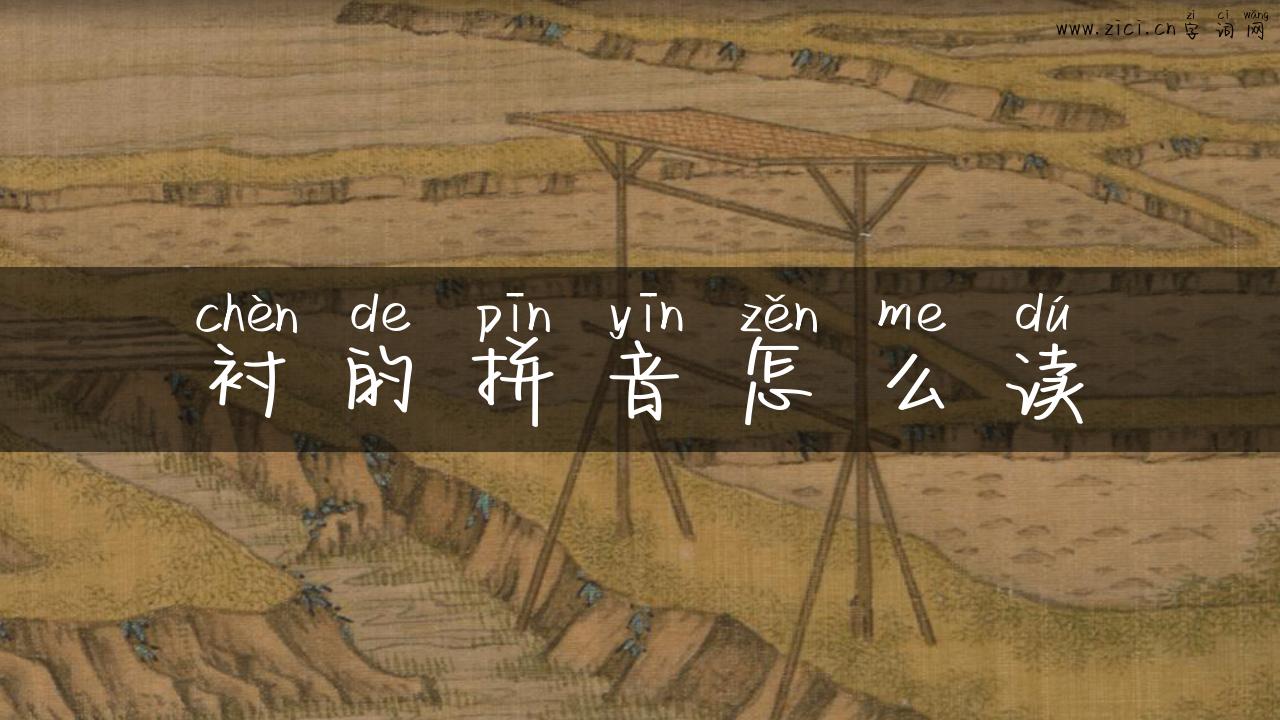 衬的拼音怎么读