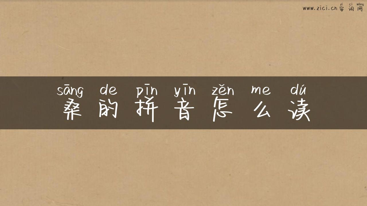 桑的拼音怎么读