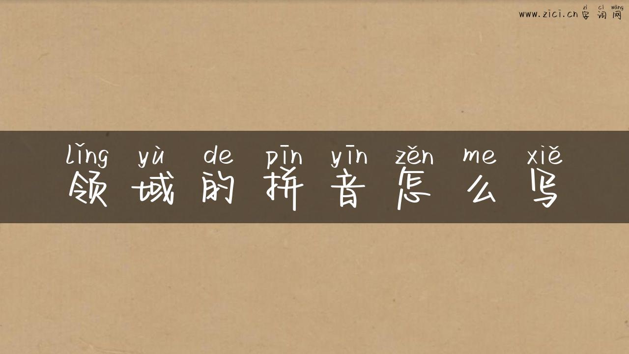 领域的拼音怎么写