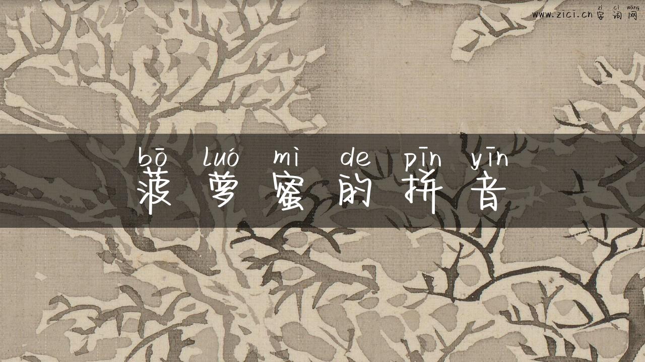 菠萝蜜的拼音