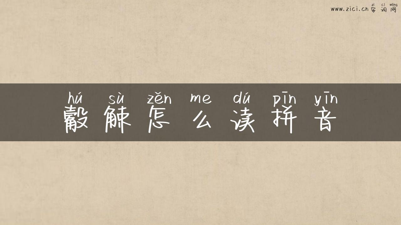 觳觫怎么读拼音