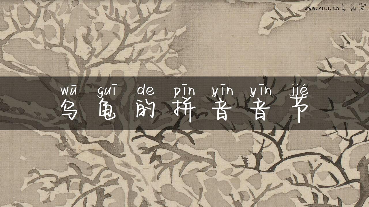 乌龟的拼音音节