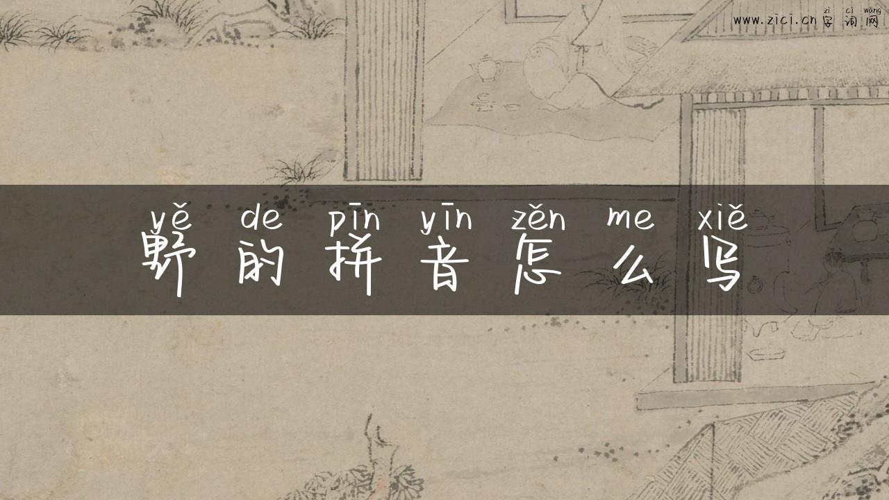野的拼音怎么写