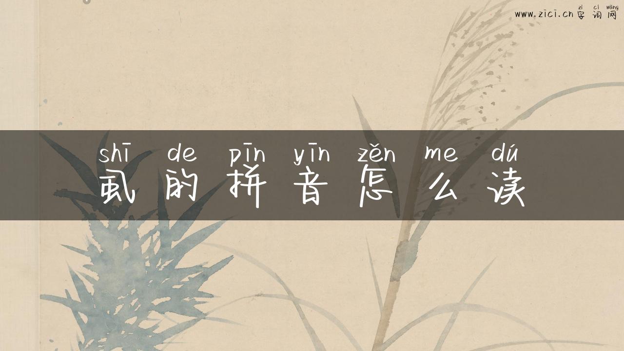 虱的拼音怎么读